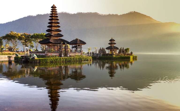 Immersion dans la diversité naturelle du nord de Bali